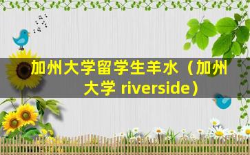 加州大学留学生羊水（加州大学 riverside）